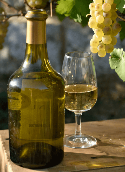 Bouteille de vin du Jura à côté d'un verre de vin