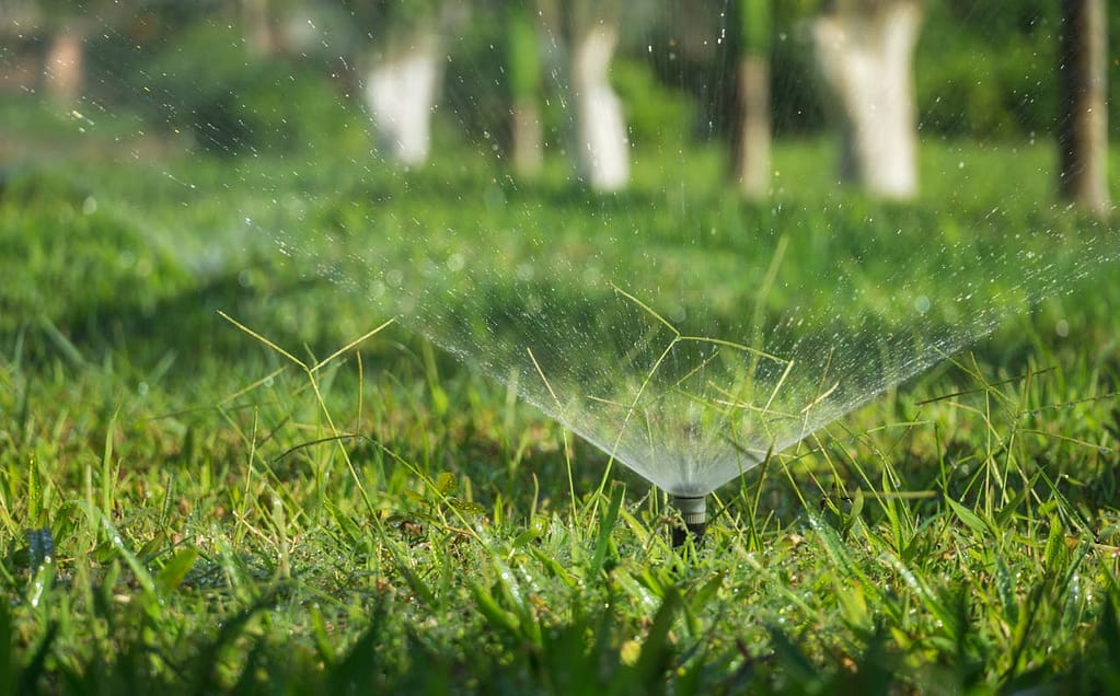 pulvérisateur d'eau dans un champ