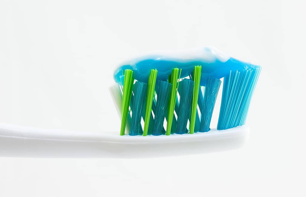 zoom sur une brosse à dent avec une couche de dentifrice sur la partie brosse
