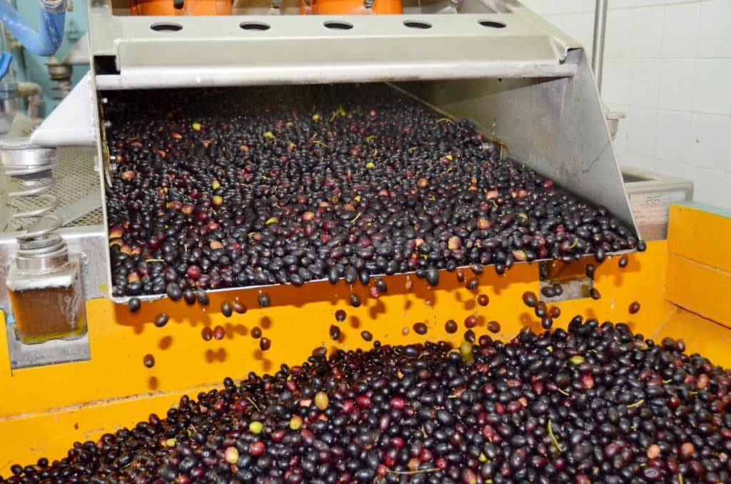 laveuse pour les olives