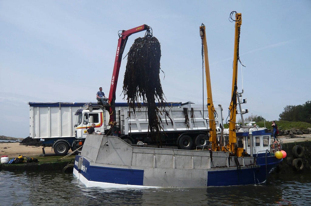 bateau collecteur d'algues