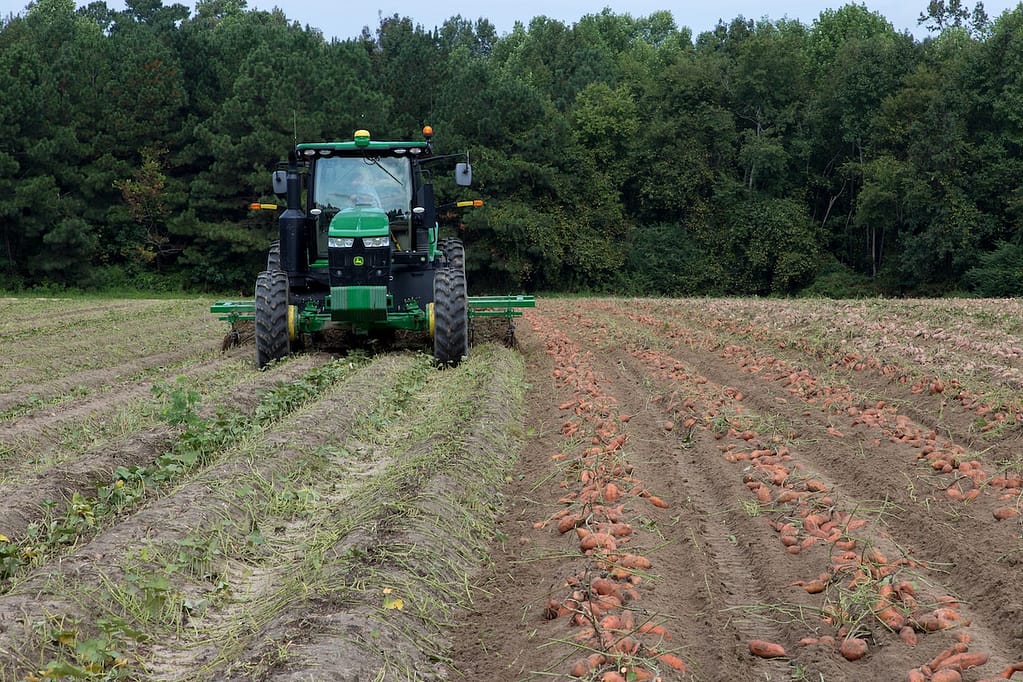 tracteur qui récolte des pommes de terre dans un champ en France