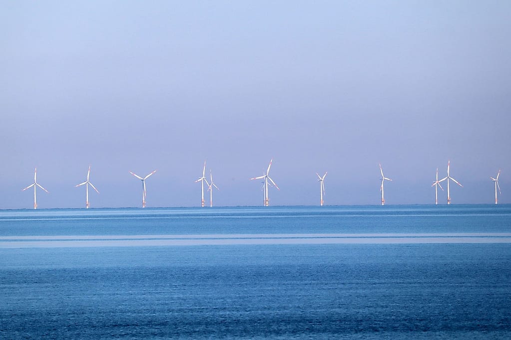 champ d'éoliennes en mer au loin