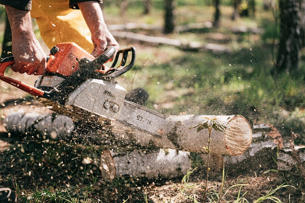 une tronçonneuse qui découpe un tronc d'arbre