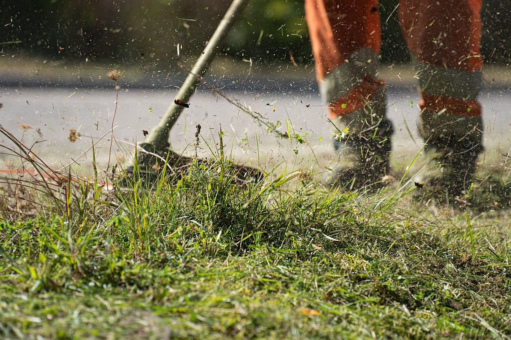 une débroussailleuse qui coupe l'herbe