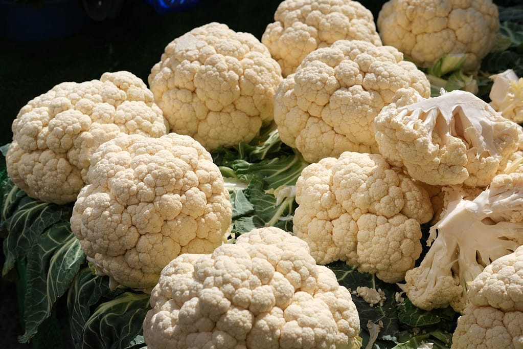 choux-fleurs sur l'étale d'un marché