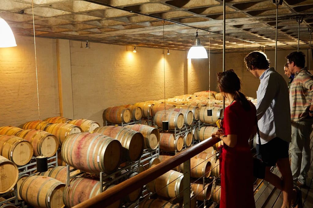 visite des caves d'un vignoble