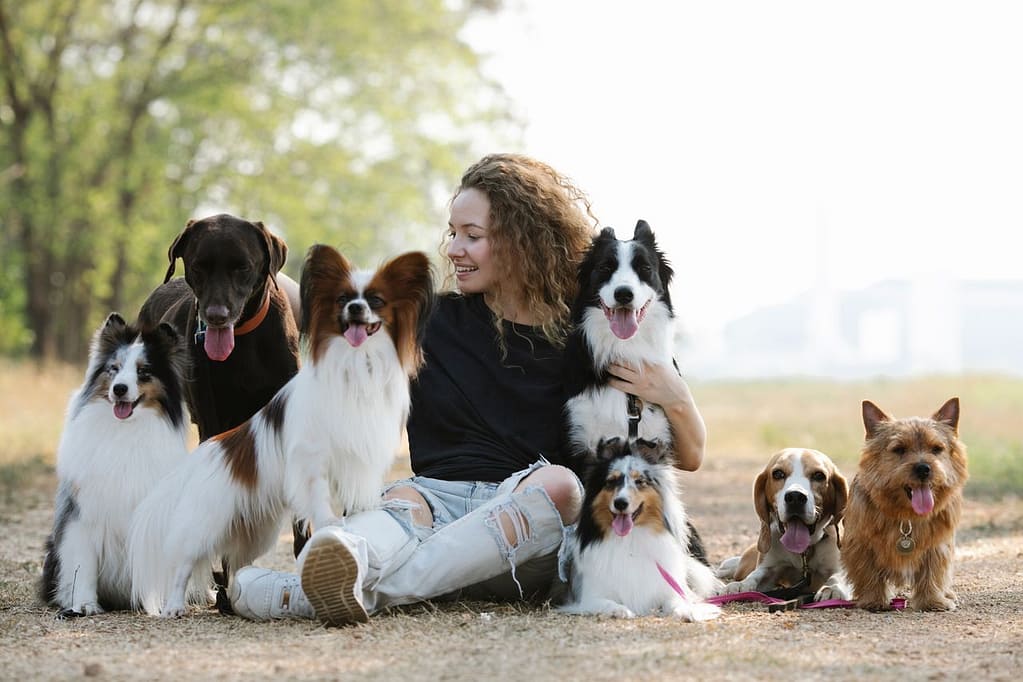 éleveuse avec ses chiens