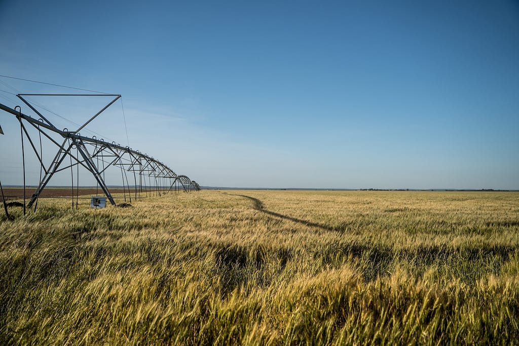 machine d'irrigation agricole au-dessus d'un champ