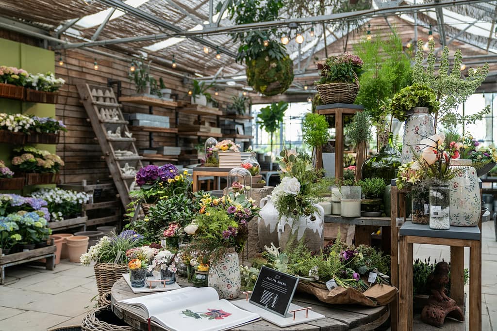 plantes d'intérieur dans une jardinerie