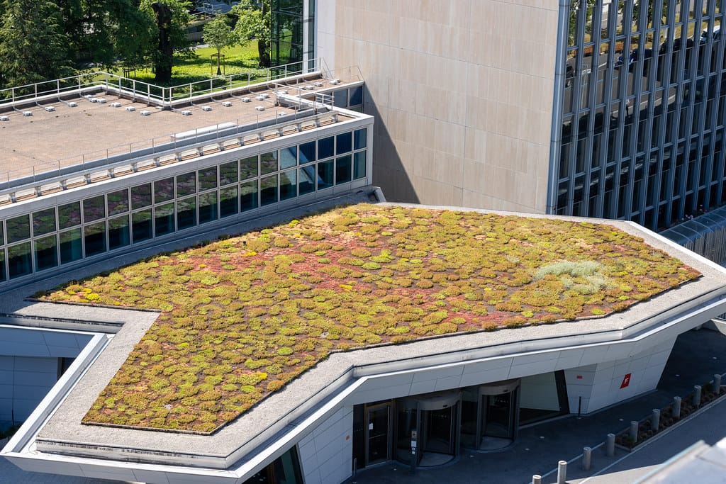 toiture végétalisée sur un bâtiment tertiaire