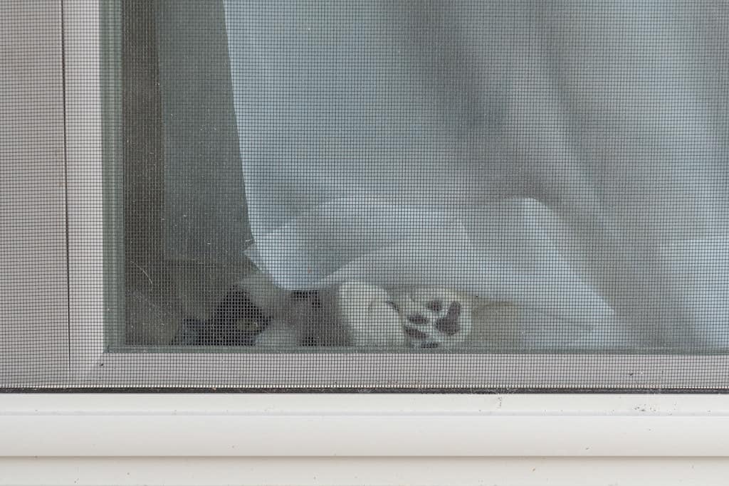 une moustiquaire fermée