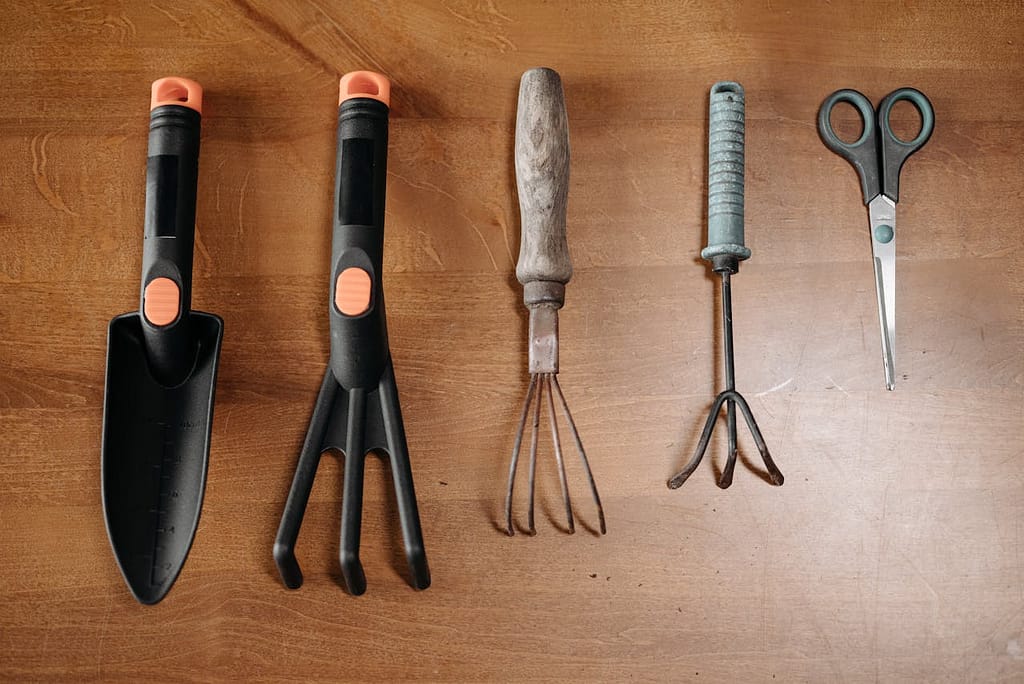 plusieurs petits outils de jardinage
