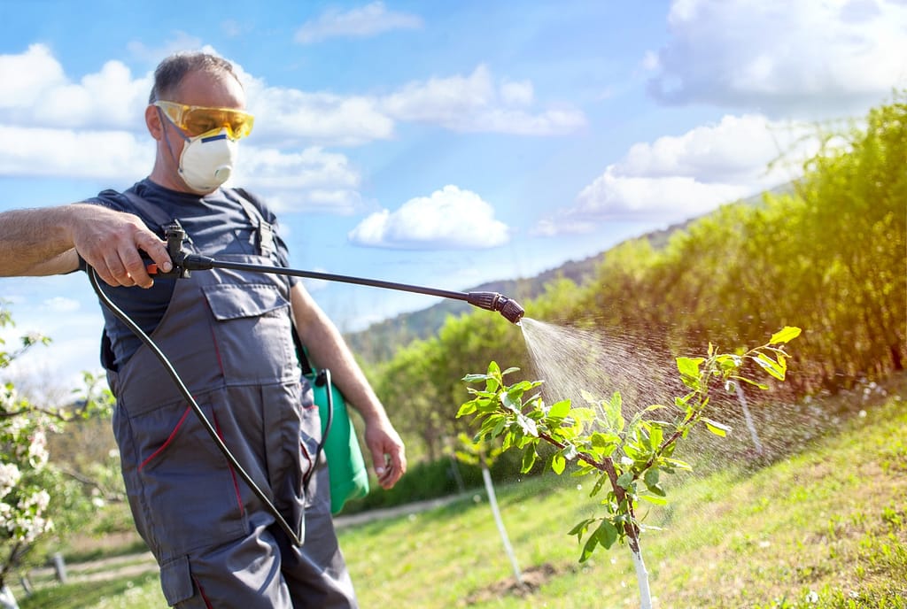 agriculteur qui répand de l'insecticide sur un arbuste