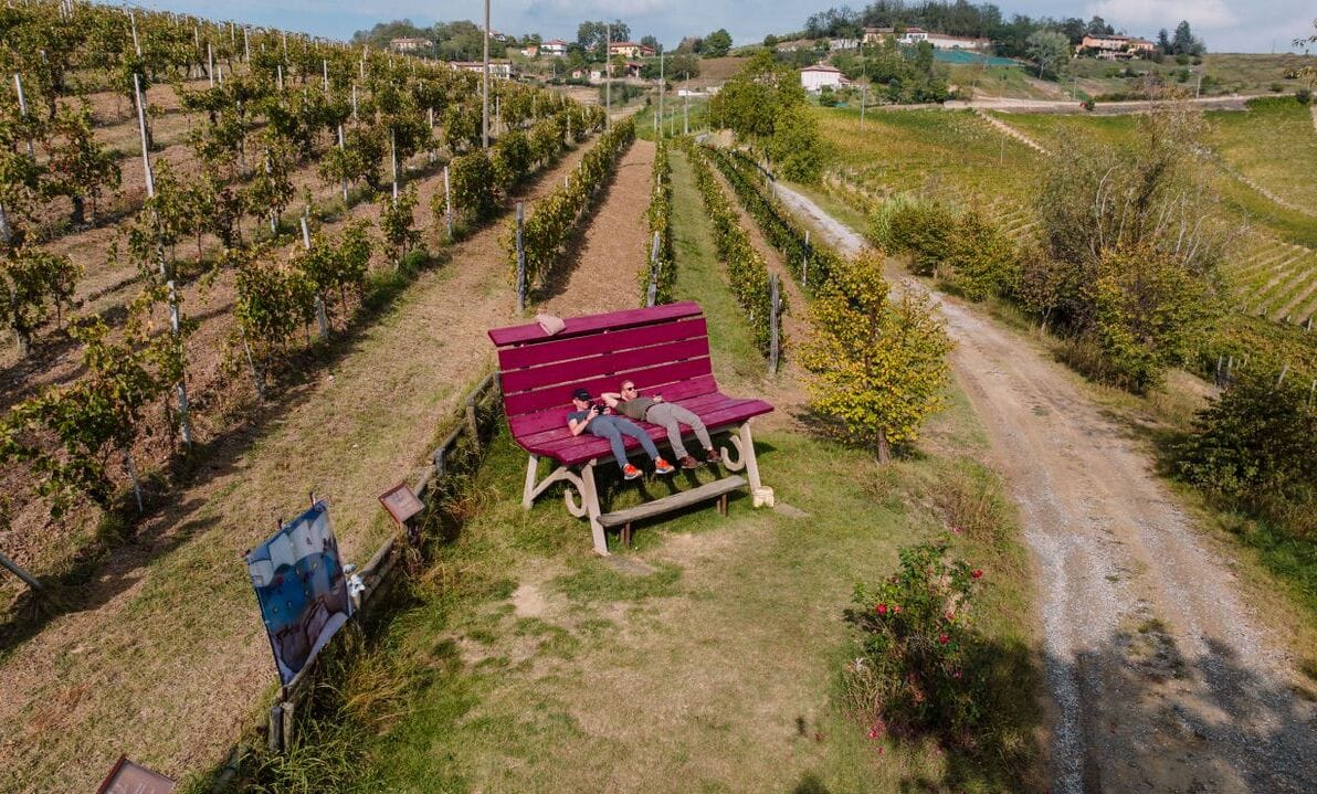 deux touristes au milieu des vignes