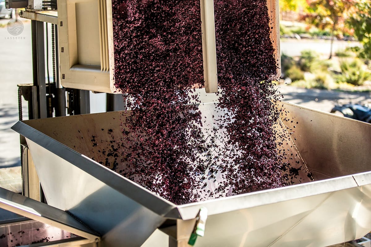 équipement viticole qui reçoit le raisin pour commencer la macération et le pressurage