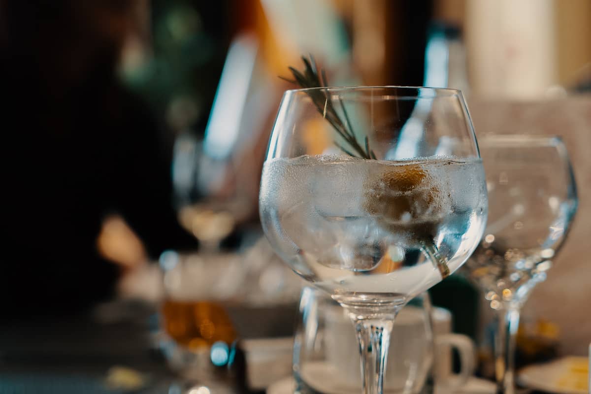 verre de gin dans un verre avec une herbe aromatique