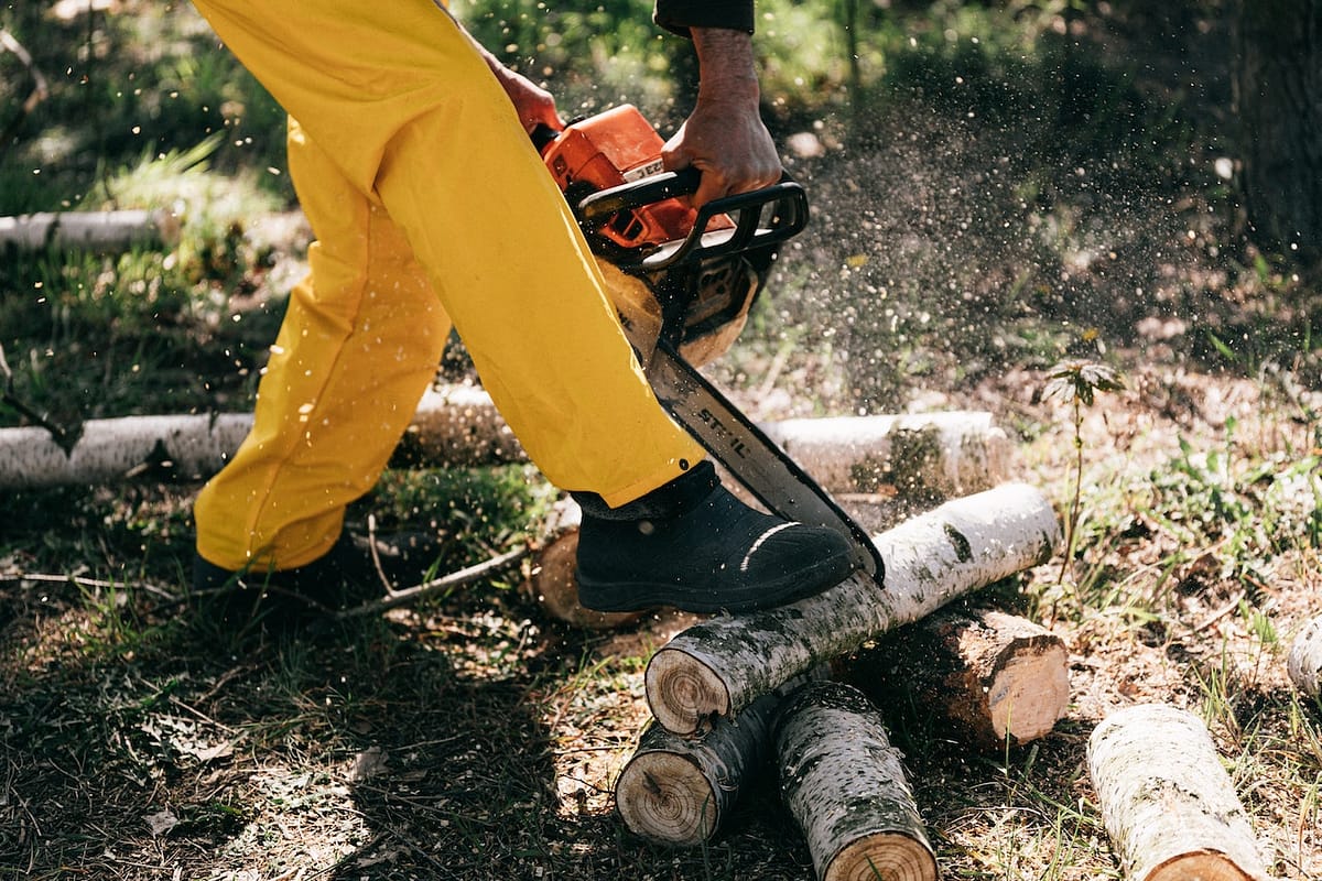 individu avec des équipements de protection qui coupe du bois