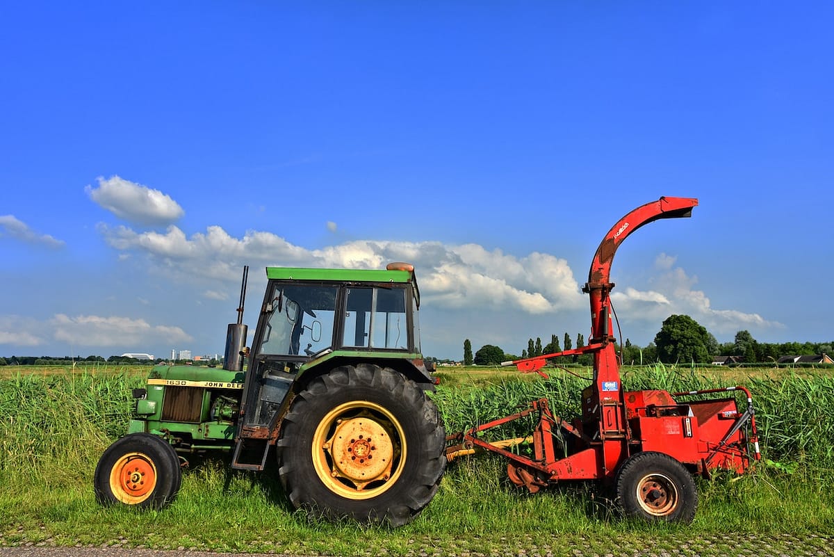 petit tracteur au bord d'un champ de maïs
