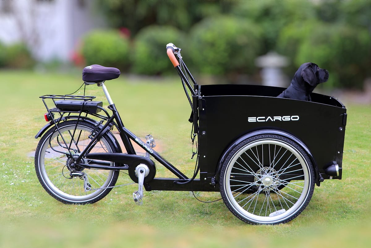 vélo cargo de type triporteur dans un parc