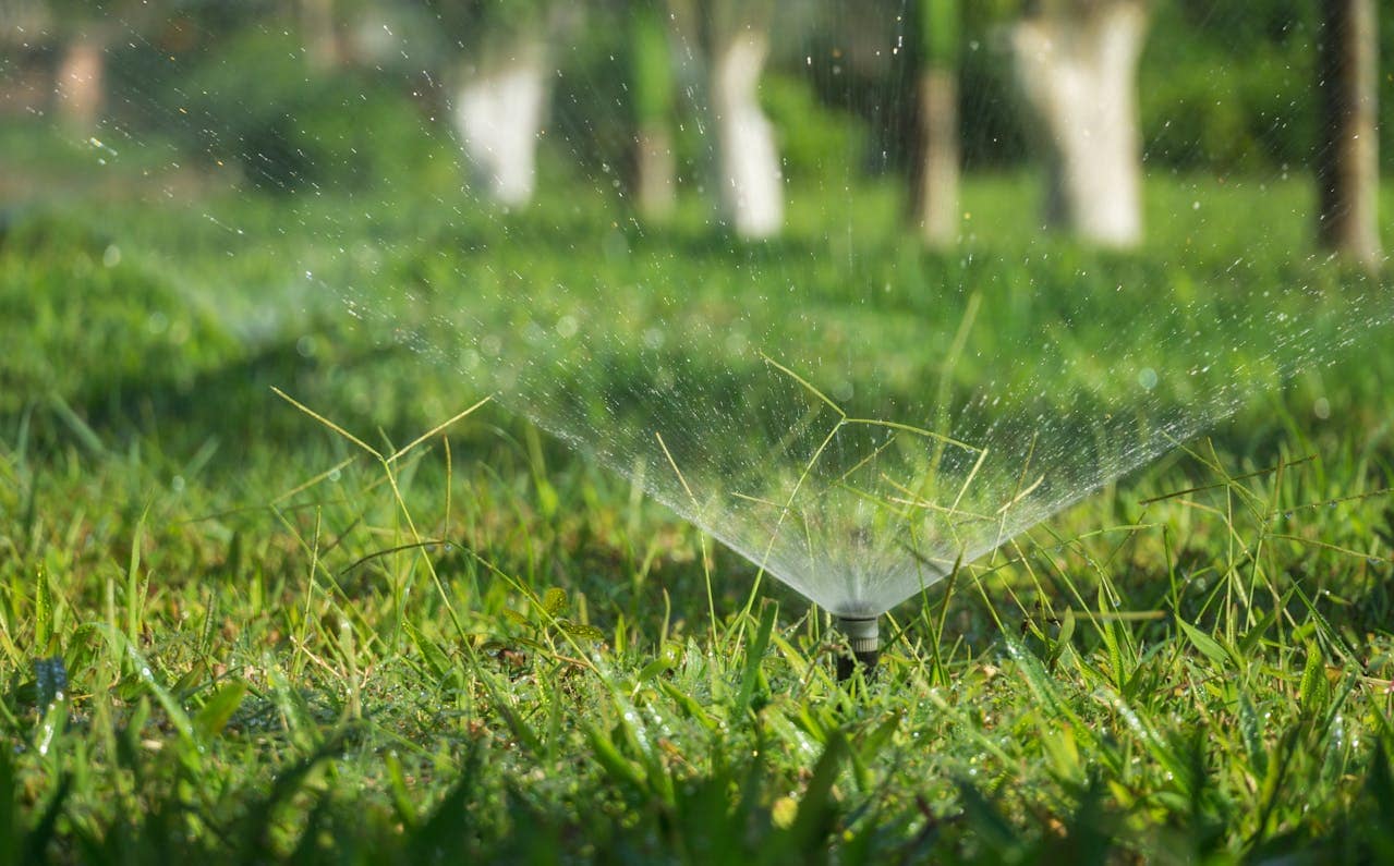 pulvérisateur d'eau dans un champ
