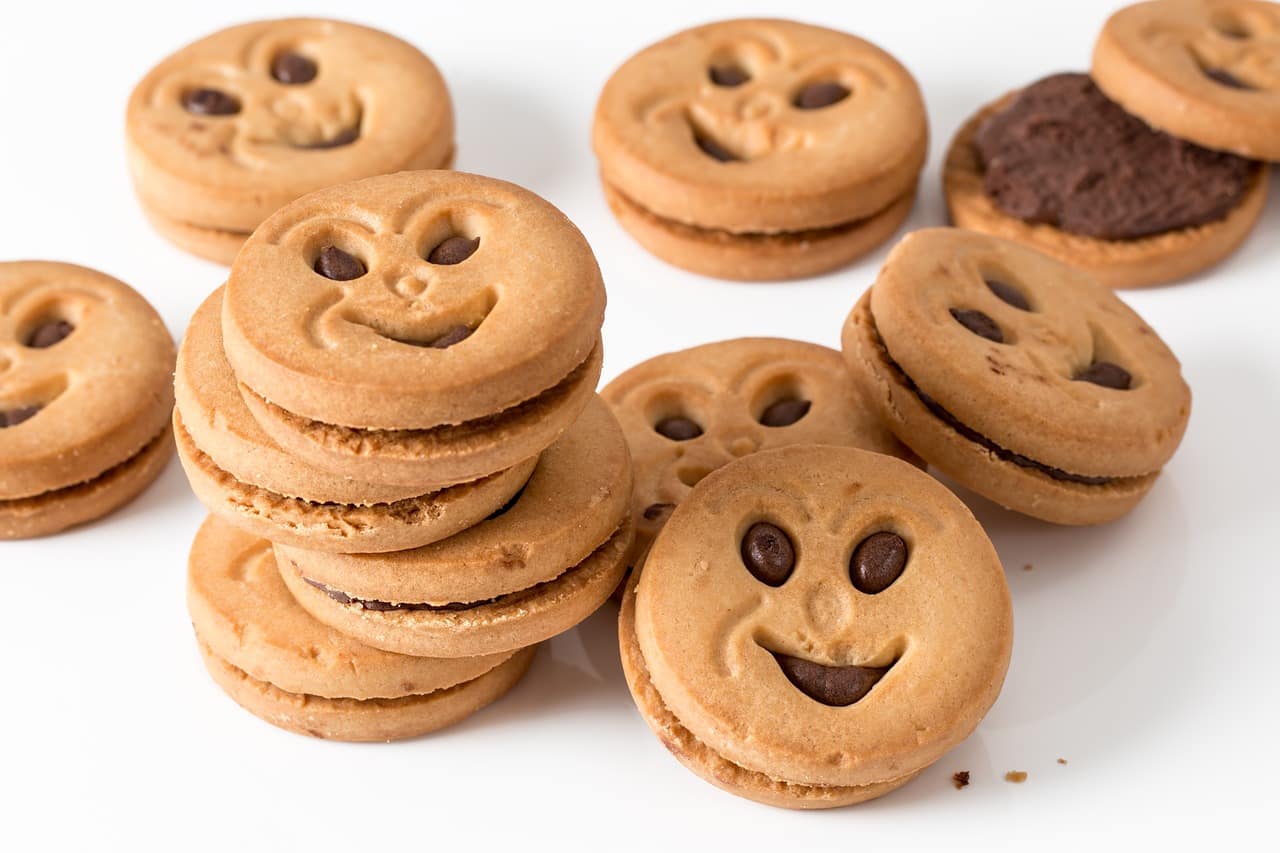 biscuit au chocolat de type BN