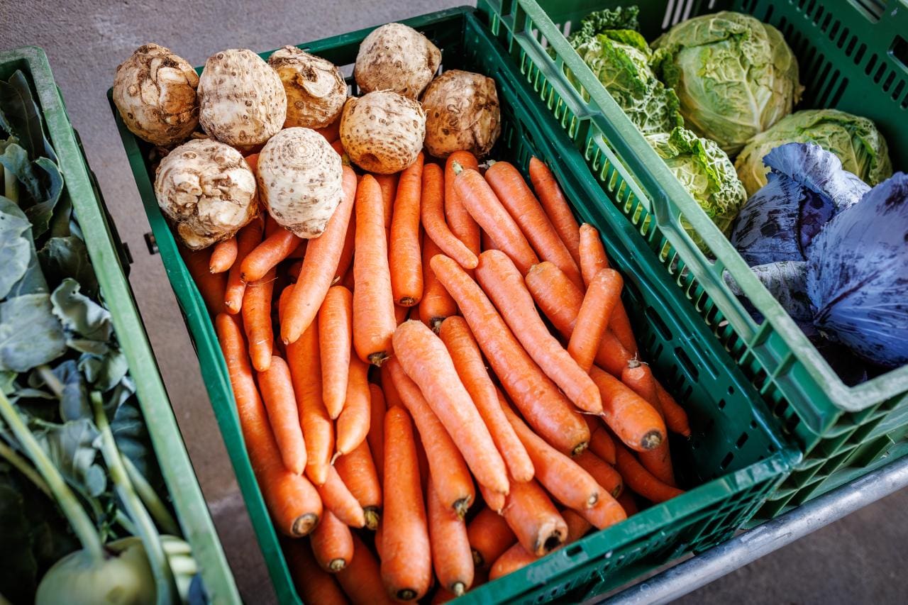 caisses de légumes contenantes carottes