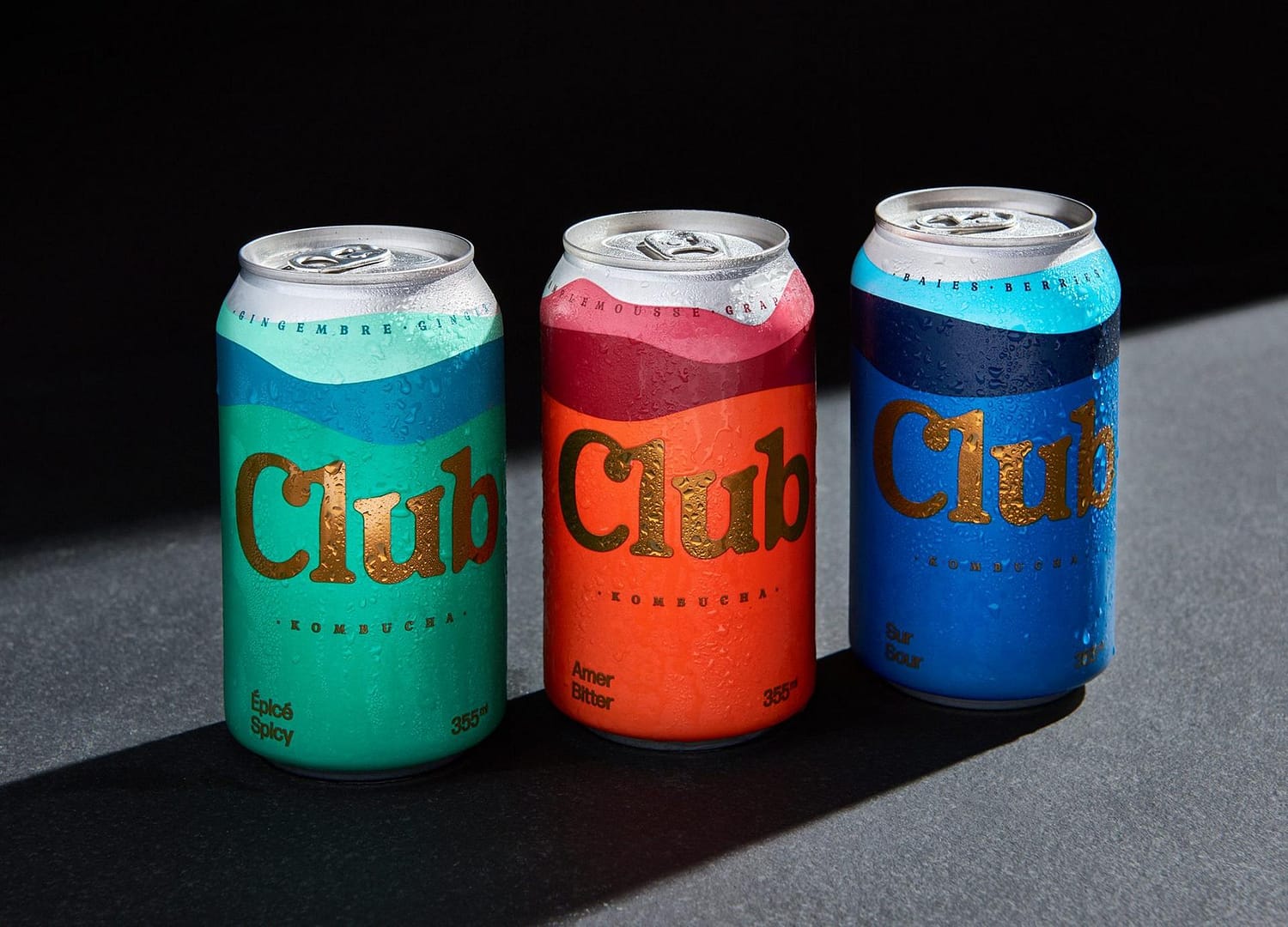 canettes de kombucha