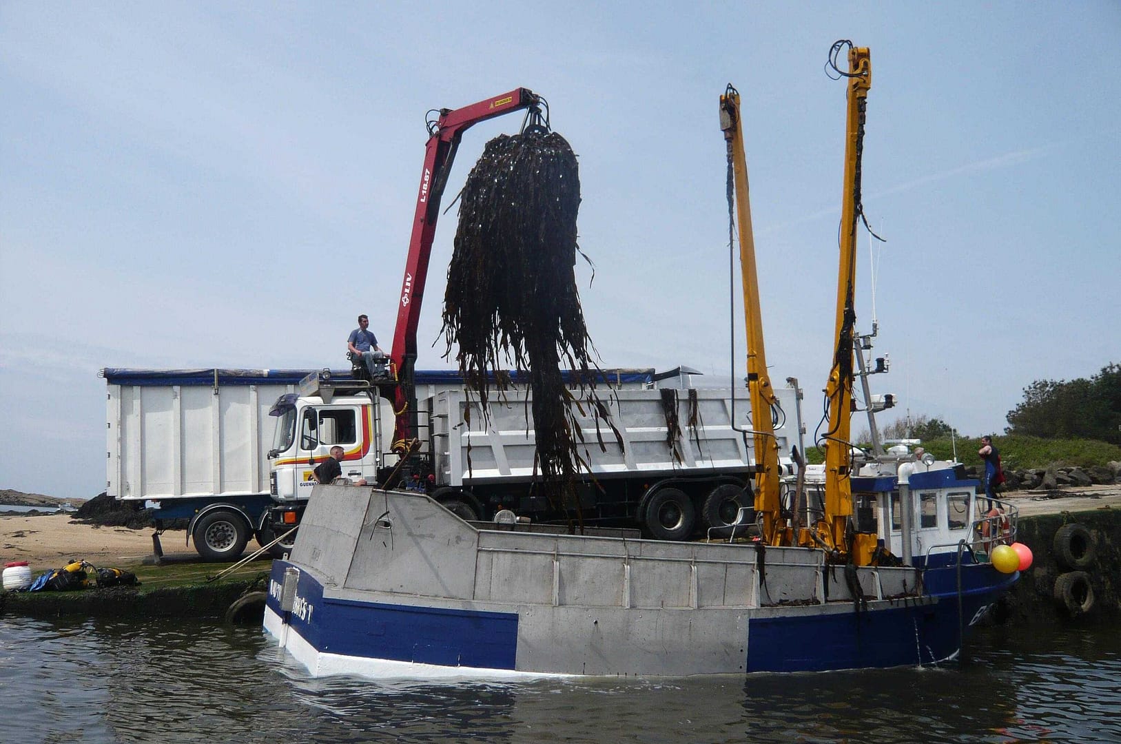 bateau collecteur d'algues