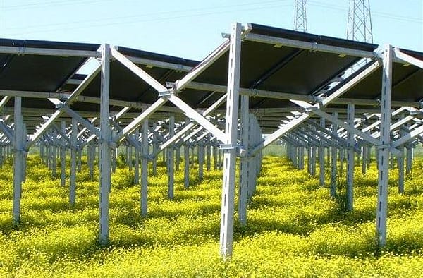 panneaux solaires situées dans un champ
