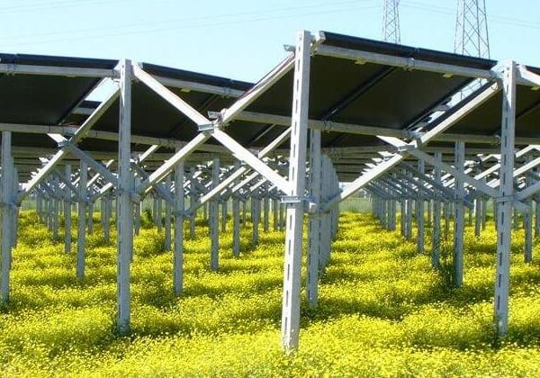 panneaux solaires situées dans un champ