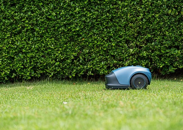 Un robot tondeuse sur une pelouse