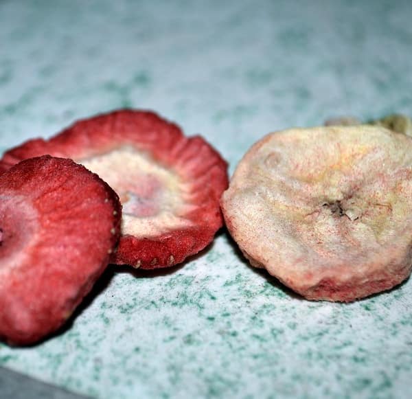 morceaux de bananes et fraises lyophilisés