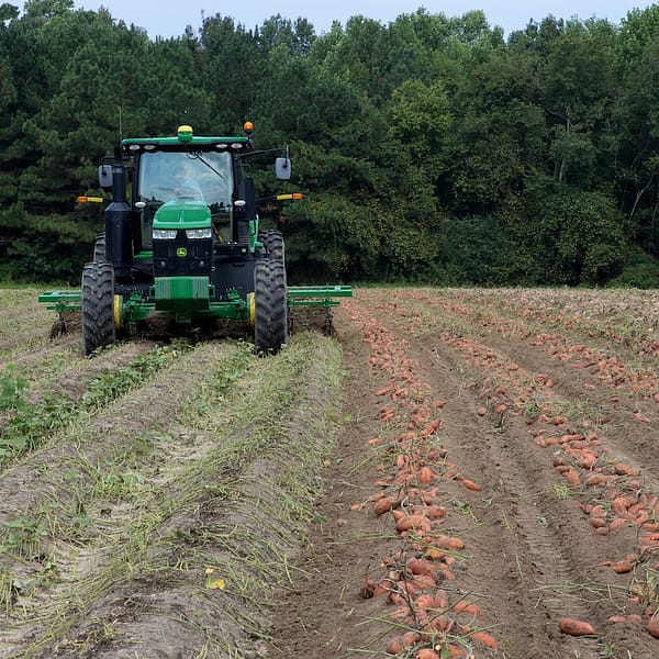 tracteur qui laboure un champ de pomme de terre