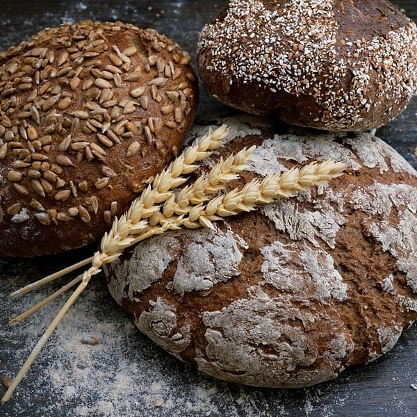 plusieurs pains qui illustrent l'utilisation de levures en boulangerie