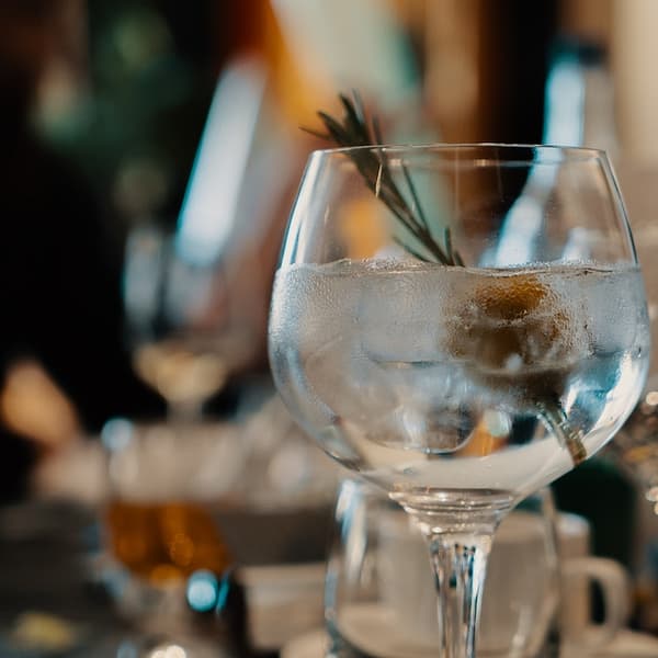 verre de gin dans un verre avec une herbe aromatique