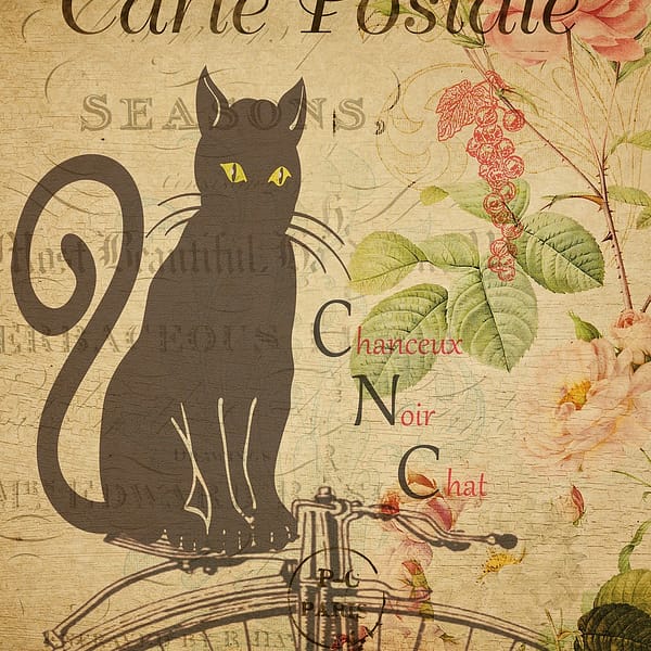 carte postale vintage avec un chat et du papier carton