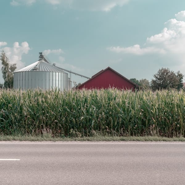 silo à grains à côté d'une ferme spécialisée dans le maïs
