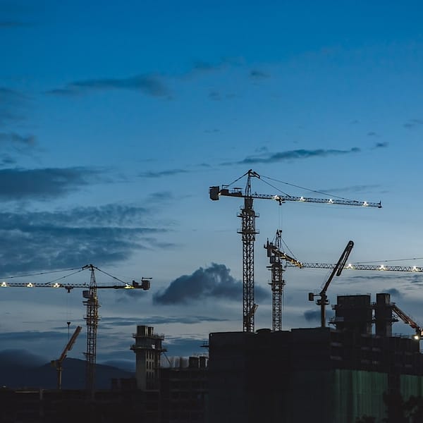 plusieurs grues dans le ciel au crépuscule