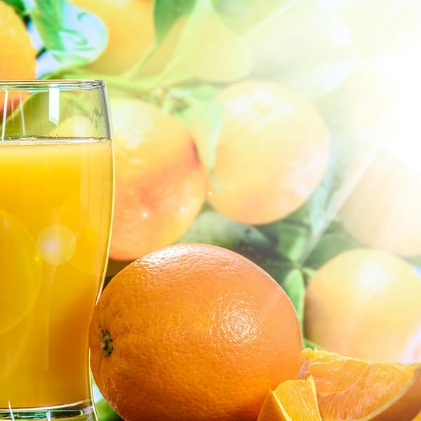 verre de jus d'orange au soleil entouré d'oranges entières