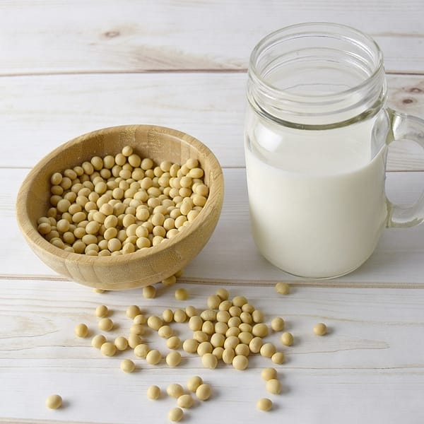 graines de soja et lait de soja