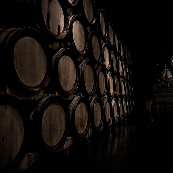 intérieur d'une cave de vin dans le Jura
