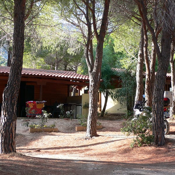 bungalows dans un camping ombragé