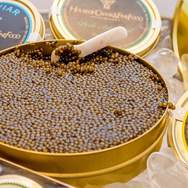 boites de caviar de diverses marques