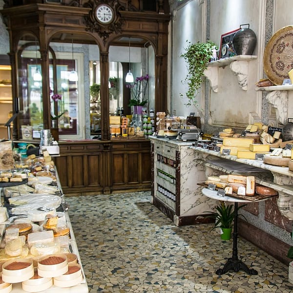 fromagerie remplie de divers types de fromage