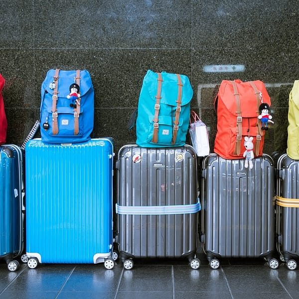 plusieurs valises à roulette utilisées pour voyager