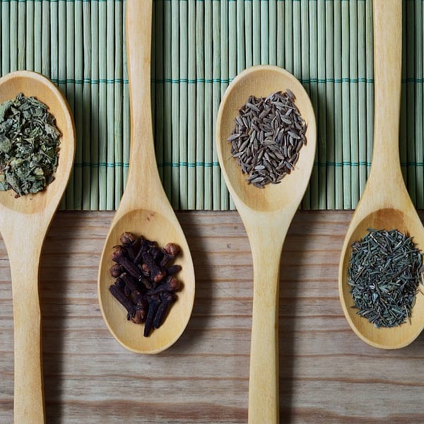 cuillères en bois qui contiennent divers épices
