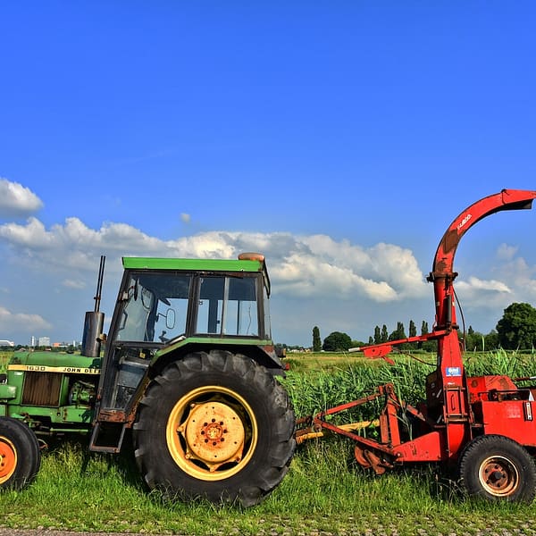 petit tracteur au bord d'un champ de maïs