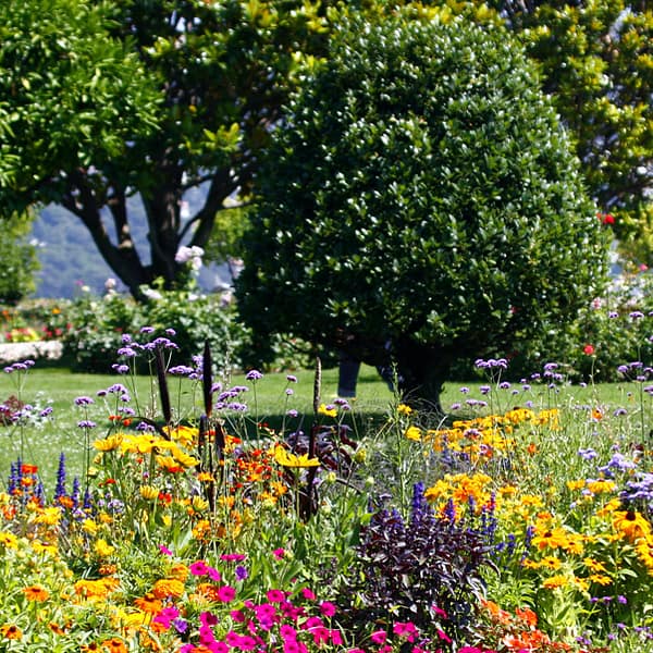 jardin sur les hauteurs de Nice