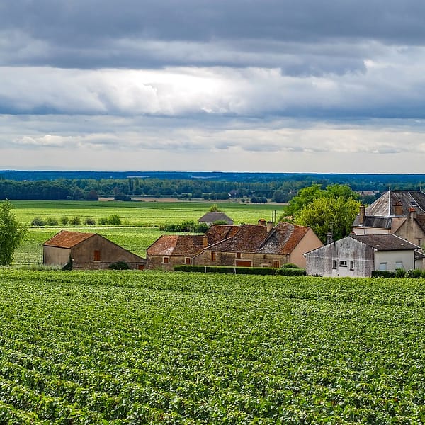un domaine viticole dans un village français